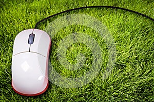 Mouse on grass