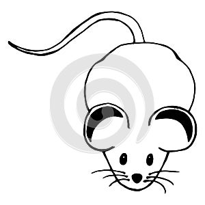 Mouse hand drawn. Vector illustration of cartoon mouse. Funny rat