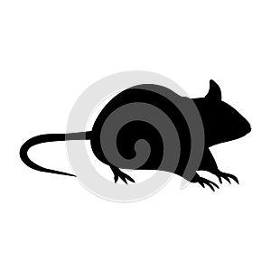 Mouse icon vector. Rat illustration sign. Jerboa symbol or logo.