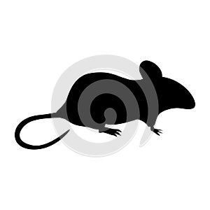 Mouse icon vector. Rat illustration sign. Jerboa symbol or logo.