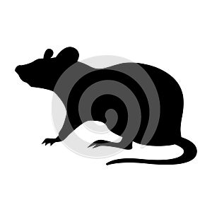 Mouse icon vector. Rat illustration sign. Jerboa symbol or logo.