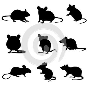 Mouse icon vector set. Rat illustration sign collection. Jerboa symbol or logo.