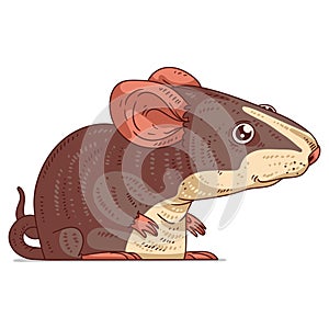 A Mouse, isolated vector illustration. A cute cartoon picture of a curious rat. An animal sticker. Simple drawing of a rodent