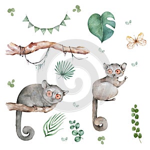 Mouse Lemur wildlife with tropical flowers Hand drawn watercolor isolated illustration on white background