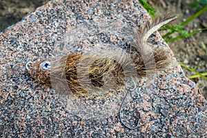 A mouse pattern fly on a rock, used for big trout and tiamen fishing