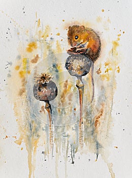 Mouse and poppy heads.