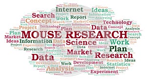 Mouse Research word cloud.