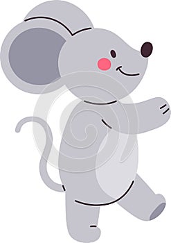 Mouse Rodent Animal