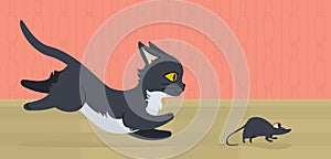 Mouse running from cat