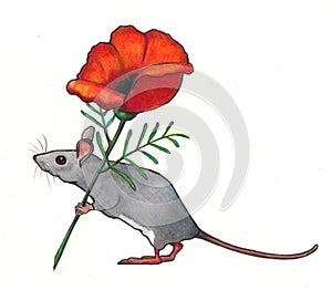 Mouse Toting Flower: Color Pencil