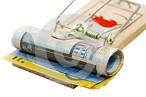 Mouse trap holding rolls of money