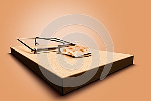 Mouse trap with cheese