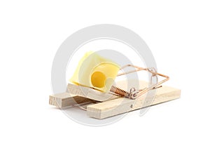 Mouse trap with cheese isolated