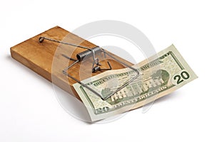 Mouse Trap and a Dollar