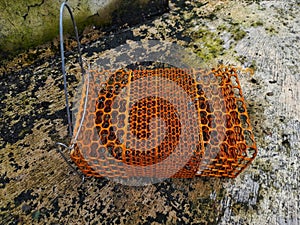 A mouse trap in the form of a rusty iron cage