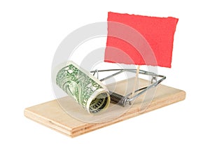 A mouse trap with money