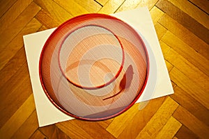 Mouse trapped at home