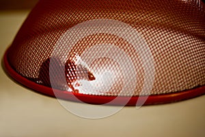 Mouse trapped at home