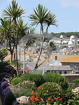 Mousehole Gardens