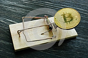 Mousetrap and bitcoin coin. Cryptocurrency scam or fraud concept.