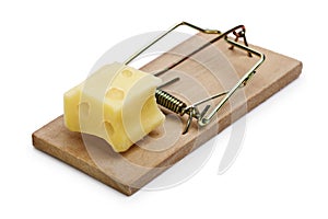 Mousetrap with cheese incentive photo