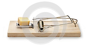 Mousetrap Cheese Mouse Trap