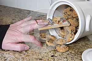 Mousetrap in a Cookie Jar