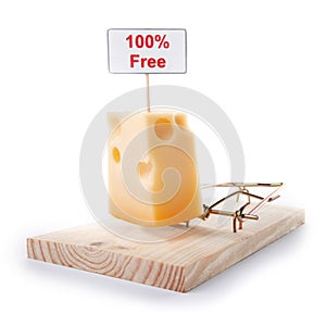 Mousetrap with free cheese