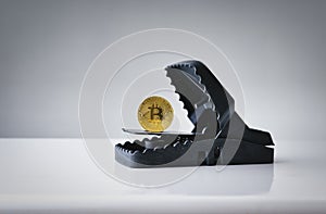 Mousetrap with gold bitcoin on wood table . Concept risks and dangers of investing to bitcoin