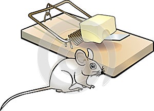 Mousetrap and mouse