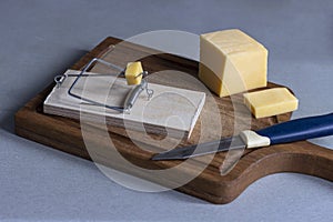 A mousetrap with a piece of cheese in the form of bait.