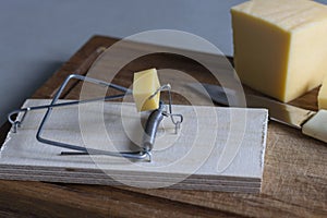 A mousetrap with a piece of cheese in the form of bait.