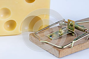 Mousetrap on a white table. Trap with yellow cheese as a bait.