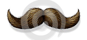 Moustache On White Background photo