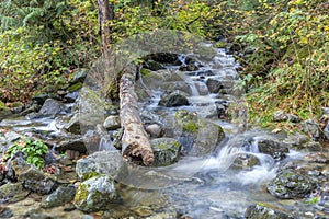 Moutain Stream