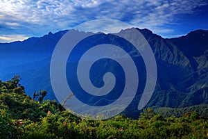 Moutain tropical forest with blue sky and clouds,Tatama National Park, high Andes mountains of the Cordillera, Colombia