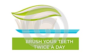 Mouth hygiene toothbrush and toothpaste brush teeth twice day