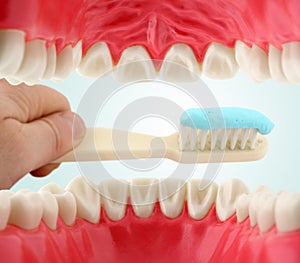 Mouth from inside and tooth-brush