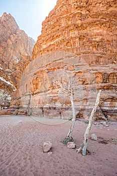 Mouth of Khazali Canyon in Wadi Rum (Jordan)