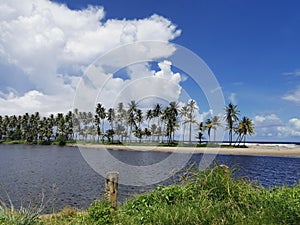 Mouth of the Mitan River, Manzanilla Mayaro, Trinidad photo