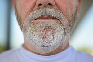 Mouth of a serious man with greying beard photo