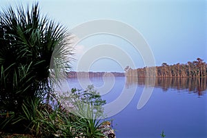 Mouth of Suwannee River   60107