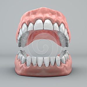 Mouth, teeth and gums