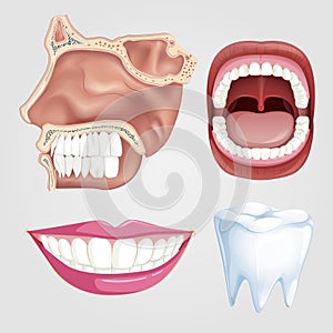 Mouth and tooth health set