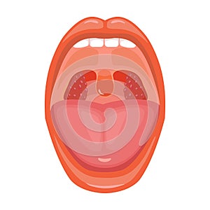 Mouth vector icon.Cartoon vector icon isolated on white background mouth.