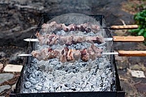 Mouth- watering skewers of pork with a toasted Golden crust and smoke flavor. Barbecue with coals in the yard in nature with cooke