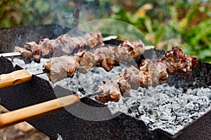 Mouth- watering skewers of pork with a toasted Golden crust and smoke flavor. Barbecue with coals in the yard in nature with cooke