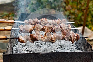 Mouth- watering skewers of pork with a toasted Golden crust and smoke flavor. Barbecue with coals in the yard in nature with cooke