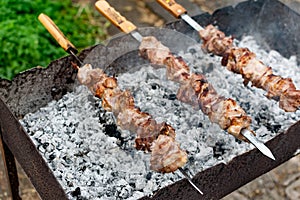 Mouth- watering skewers of pork with a toasted Golden crust and smoke flavor. Barbecue with coals in the yard in nature with cooke