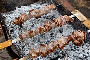 Mouth- watering skewers of pork with a toasted Golden crust and smoke flavor. Barbecue with coals in the yard in nature with cooke